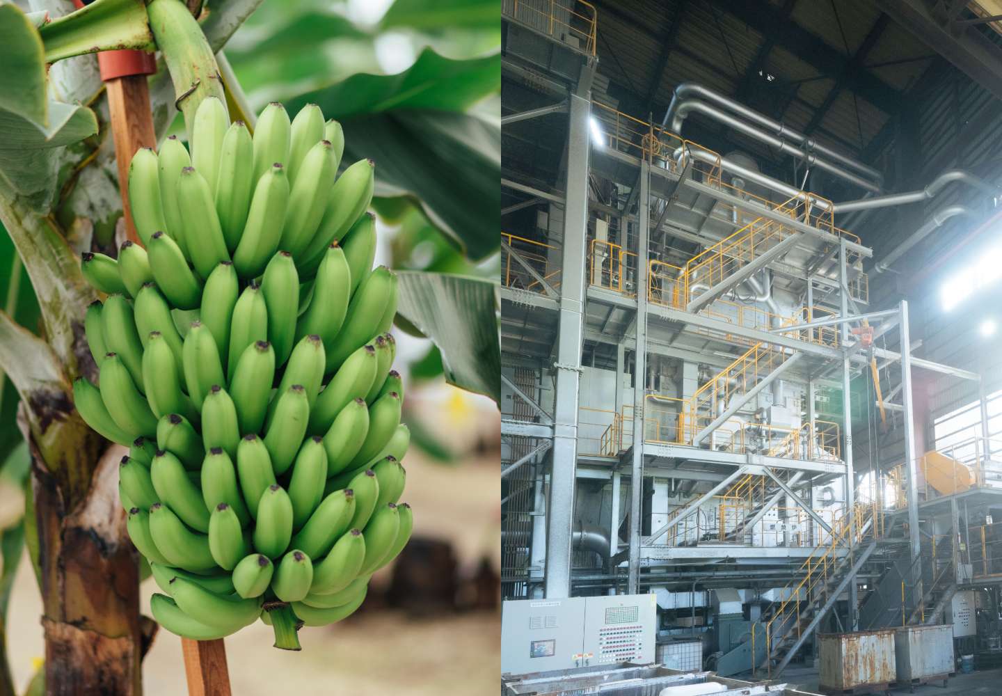 環境への配慮はもちろん、リサイクル率の算出・提示により企業のCSRに貢献します。