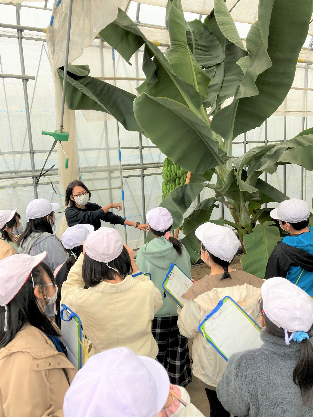 柏崎市立剣野小学校6年生がシモダファームの見学に来てくれました