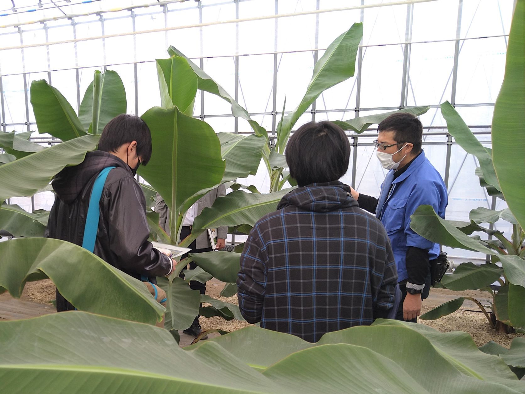 新潟県農業大学校の研究科の皆さんが校外研修に来られました