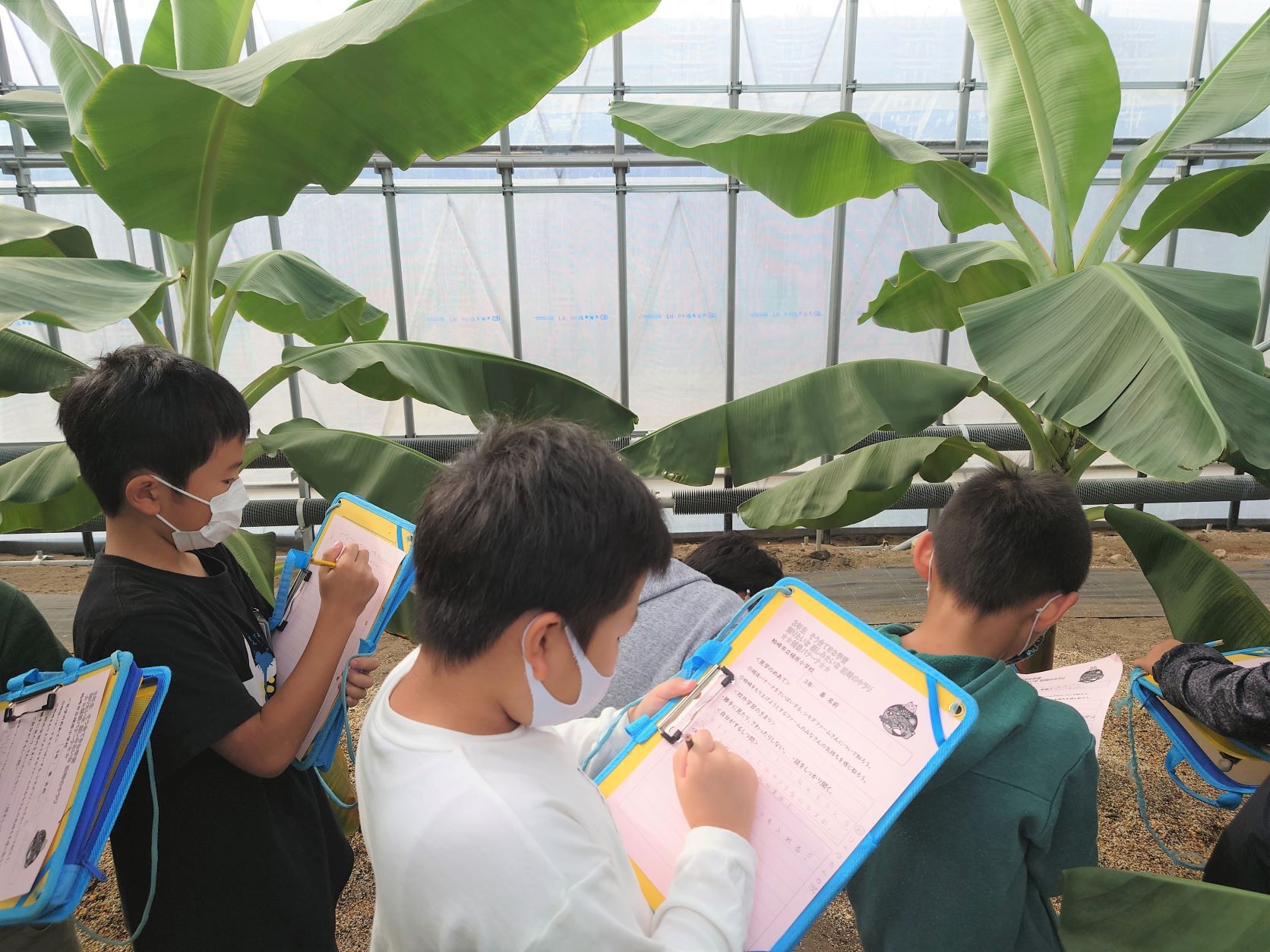 柏崎市立槇原小学校3年生が校外学習に来てくれました