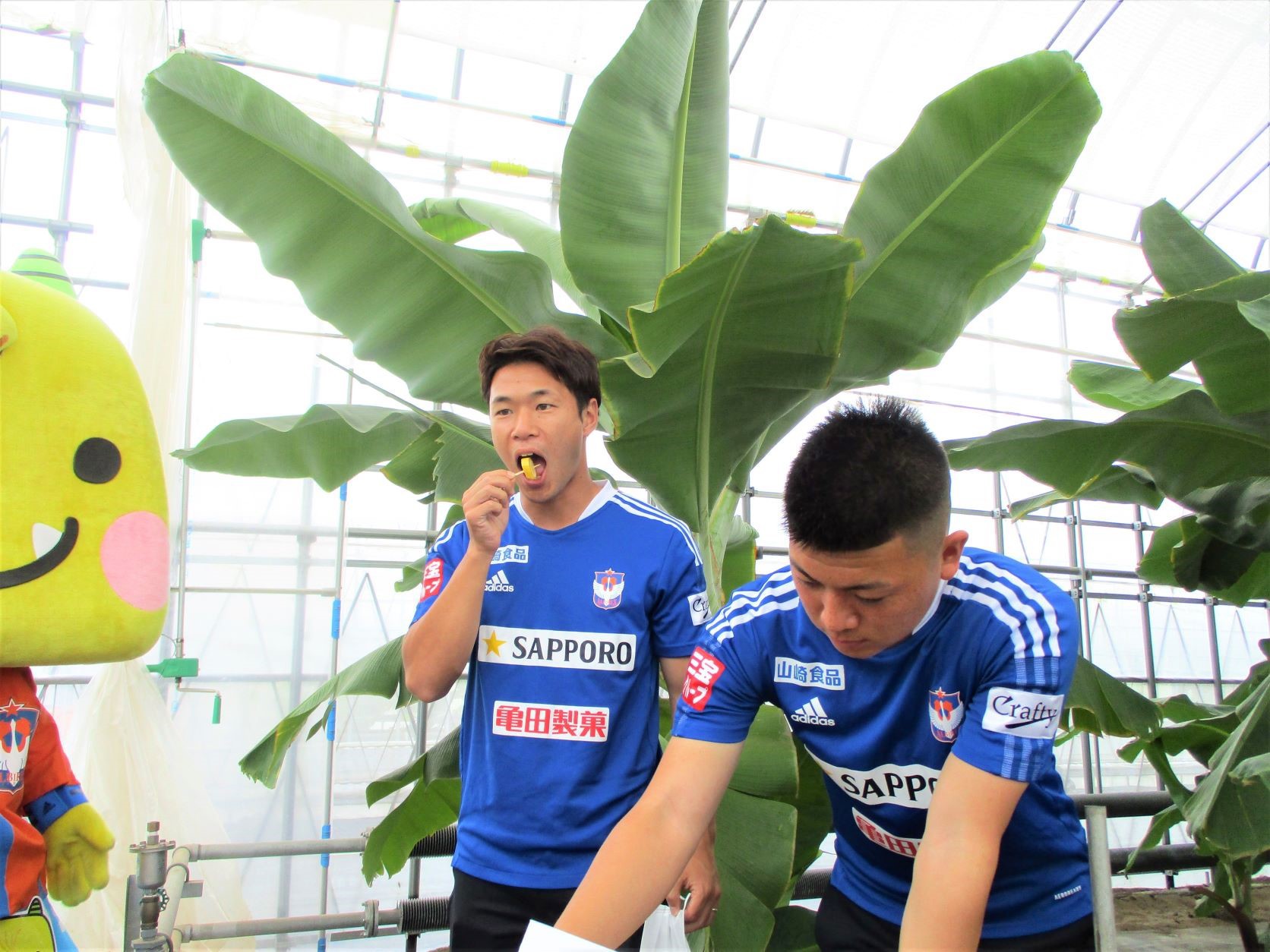 アルビレックス新潟の選手が、「えちゴン」と一緒にシモダファームの見学に来られました！