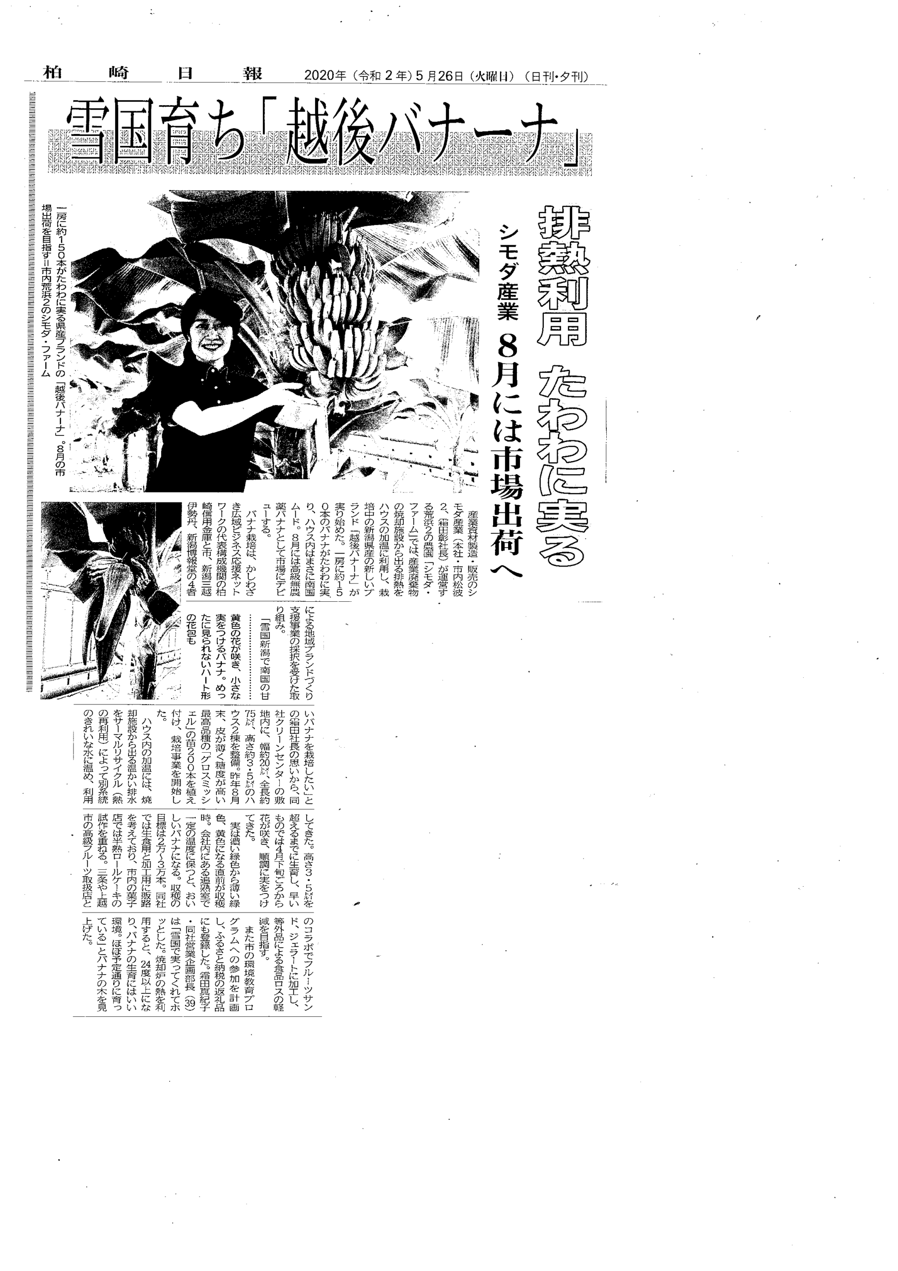 柏崎日報に「越後バナーナ」の記事が掲載されました
