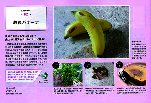 komachi 11月号にて「越後バナーナ」の記事を掲載していただきました