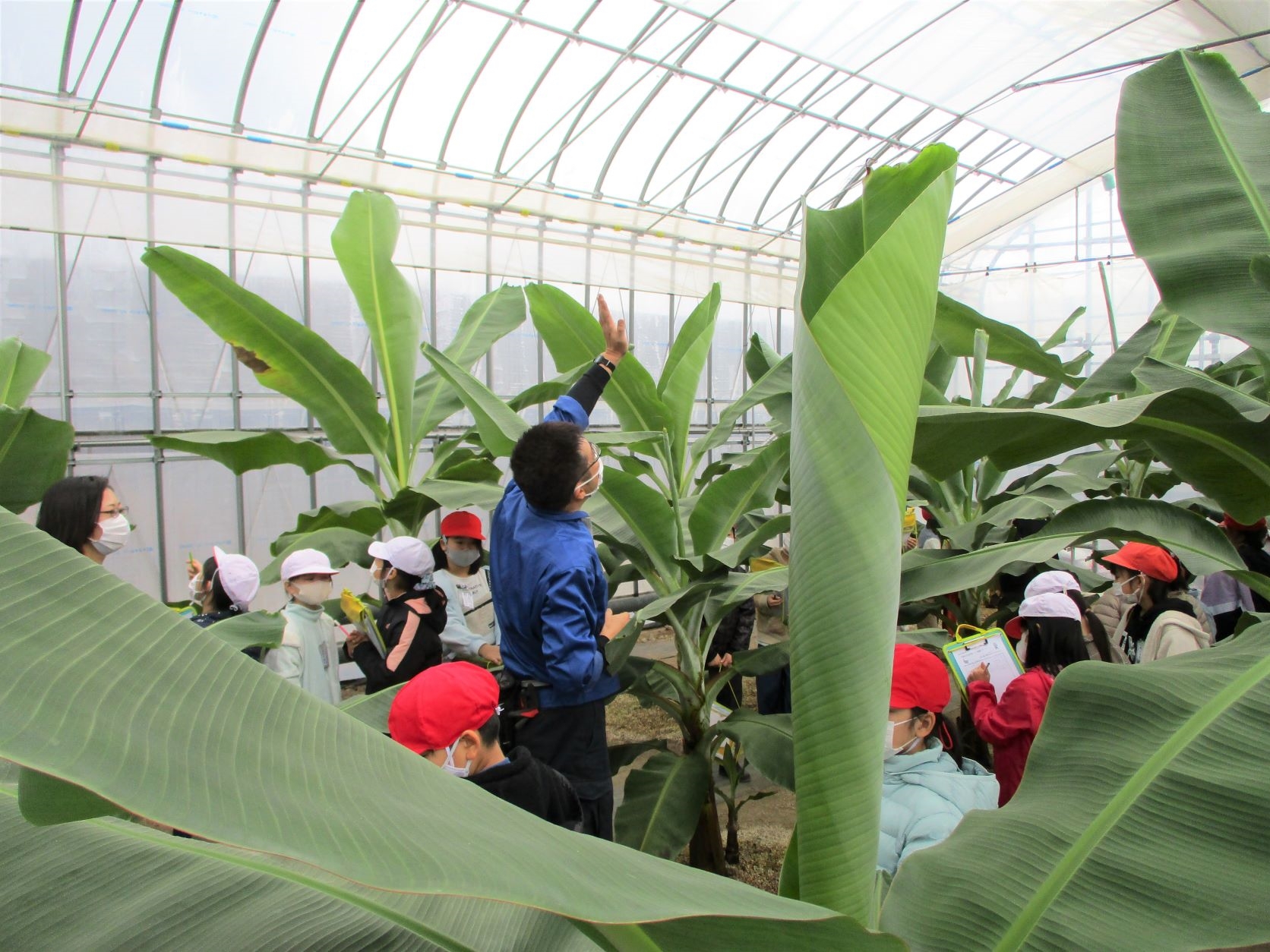 柏崎市立枇杷島小学校３年生がシモダファームの見学に来てくれました