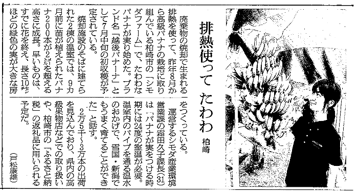 朝日新聞に「越後バナーナ」の記事が掲載されました